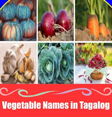 chicken crop in tagalog|Complete Guide to Filipino Vegetables (With Tagalog Names).